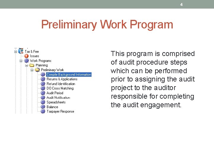 4 Preliminary Work Program This program is comprised of audit procedure steps which can