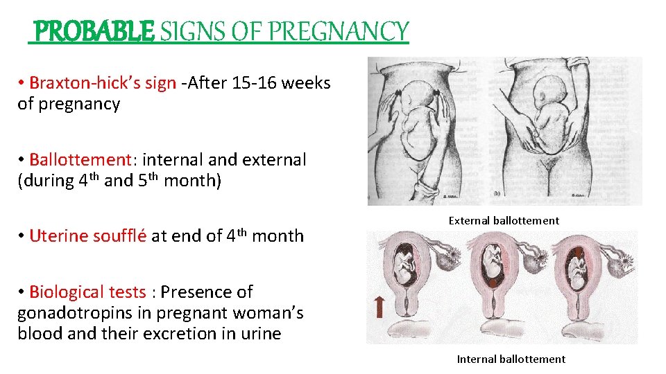 PROBABLE SIGNS OF PREGNANCY • Braxton-hick’s sign -After 15 -16 weeks of pregnancy • PROBABLE SIGNS OF PREGNANCY • Braxton-hick’s sign -After 15 -16 weeks of pregnancy •