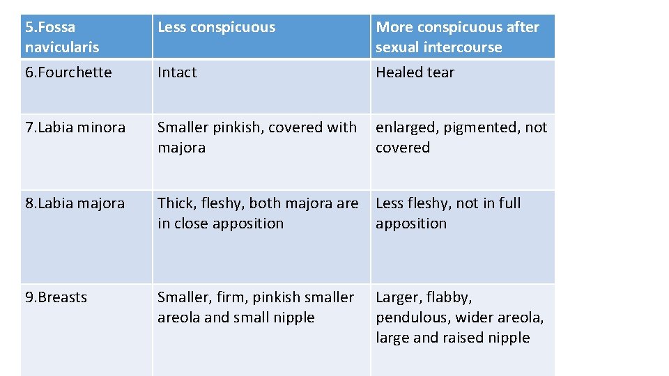 5. Fossa navicularis 6. Fourchette Less conspicuous Intact More conspicuous after sexual intercourse Healed 5. Fossa navicularis 6. Fourchette Less conspicuous Intact More conspicuous after sexual intercourse Healed