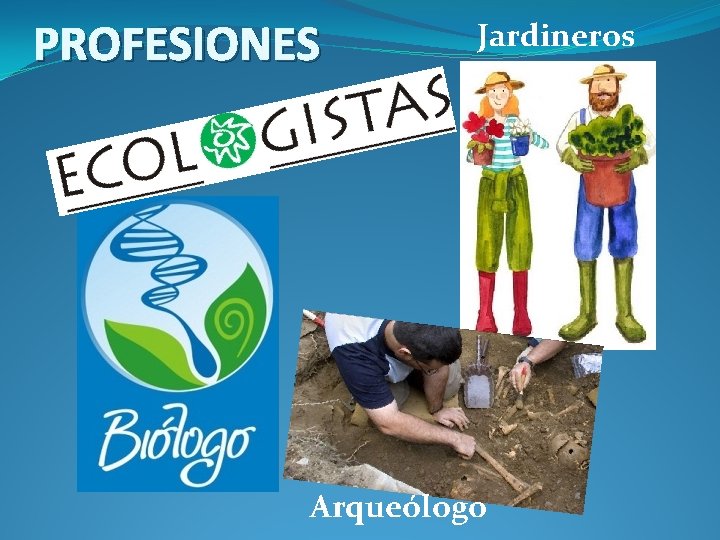 PROFESIONES Jardineros Arqueólogo 