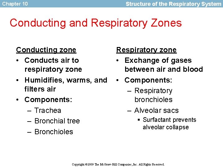Structure of the Respiratory System Chapter 10 Conducting and Respiratory Zones Conducting zone •
