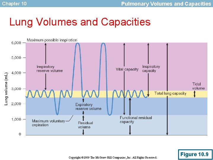Chapter 10 Pulmonary Volumes and Capacities Lung Volumes and Capacities Copyright © 2009 The