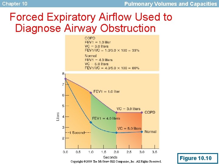 Chapter 10 Pulmonary Volumes and Capacities Forced Expiratory Airflow Used to Diagnose Airway Obstruction