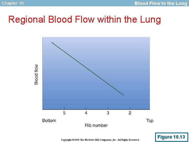 Chapter 10 Blood Flow to the Lung Regional Blood Flow within the Lung Copyright