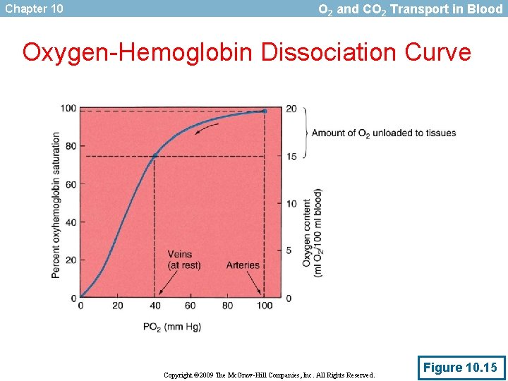 Chapter 10 O 2 and CO 2 Transport in Blood Oxygen-Hemoglobin Dissociation Curve Copyright