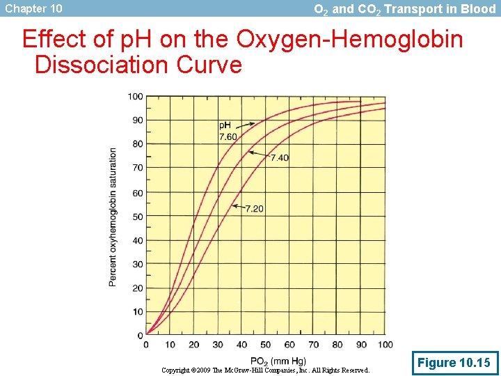 Chapter 10 O 2 and CO 2 Transport in Blood Effect of p. H