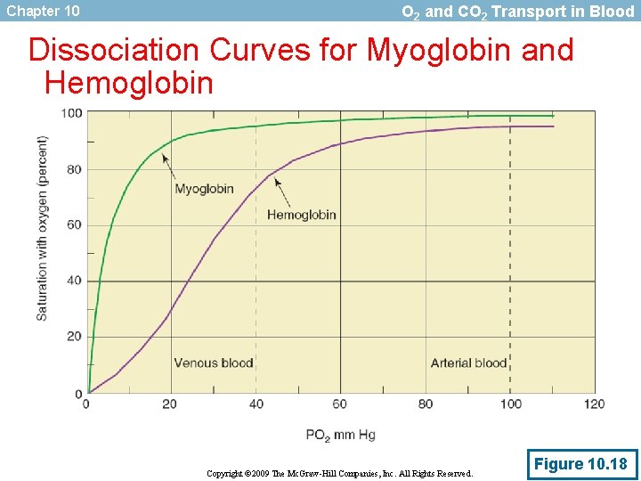Chapter 10 O 2 and CO 2 Transport in Blood Dissociation Curves for Myoglobin