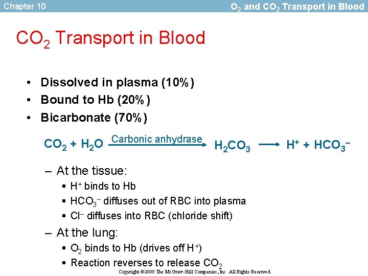 O 2 and CO 2 Transport in Blood Chapter 10 CO 2 Transport in