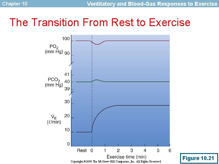 Chapter 10 Ventilatory and Blood-Gas Responses to Exercise The Transition From Rest to Exercise