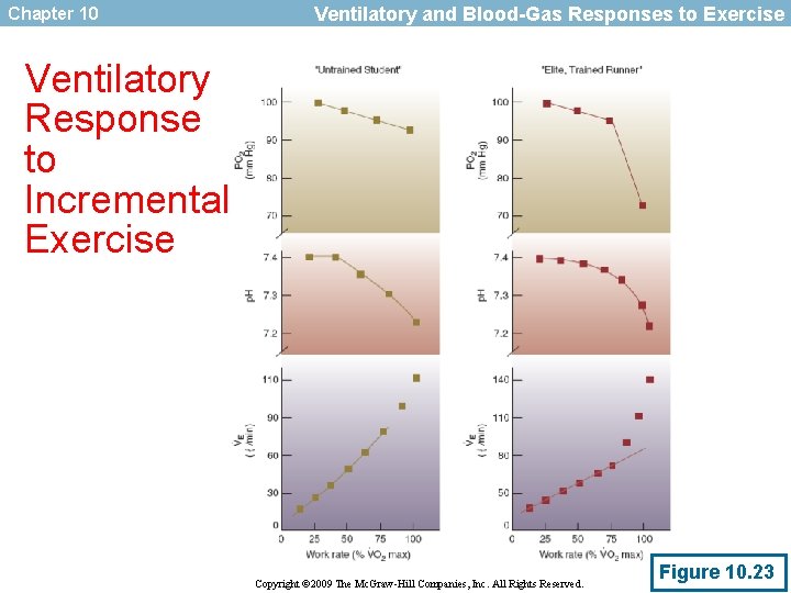 Chapter 10 Ventilatory and Blood-Gas Responses to Exercise Ventilatory Response to Incremental Exercise Copyright