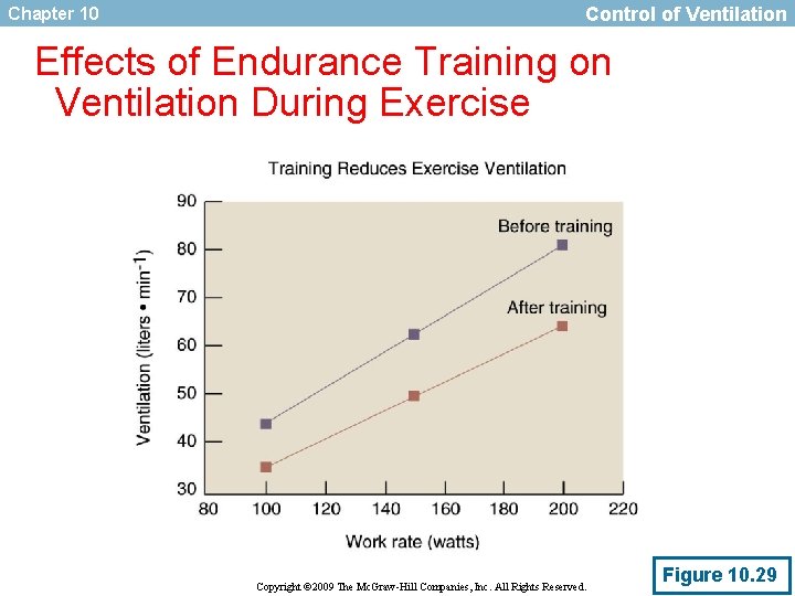Chapter 10 Control of Ventilation Effects of Endurance Training on Ventilation During Exercise Copyright