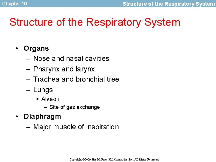 Structure of the Respiratory System Chapter 10 Structure of the Respiratory System • Organs