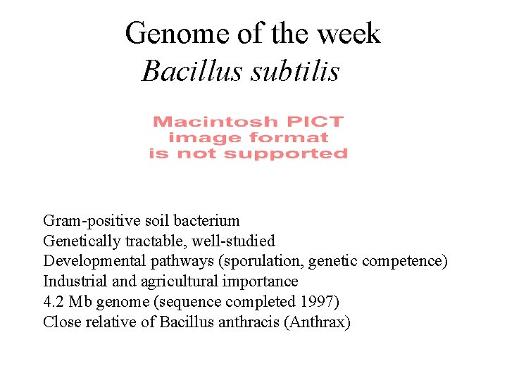 Genome of the week Bacillus subtilis Gram-positive soil bacterium Genetically tractable, well-studied Developmental pathways