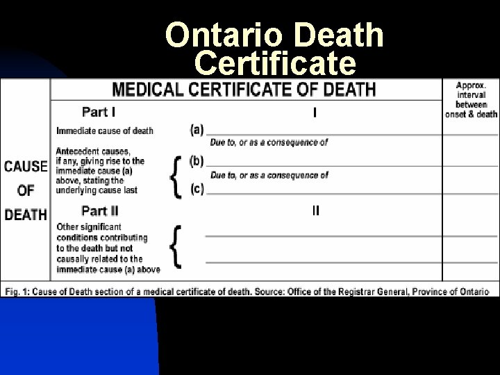 Ontario Death Certificate 