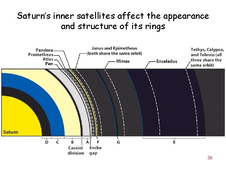 Saturn’s inner satellites affect the appearance and structure of its rings 36 
