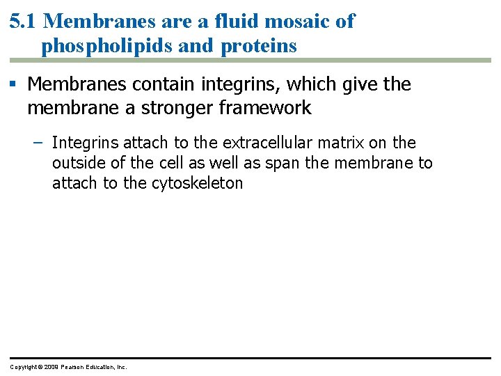 5. 1 Membranes are a fluid mosaic of phospholipids and proteins § Membranes contain