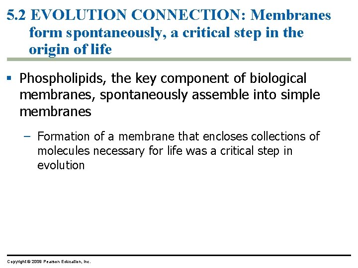 5. 2 EVOLUTION CONNECTION: Membranes form spontaneously, a critical step in the origin of