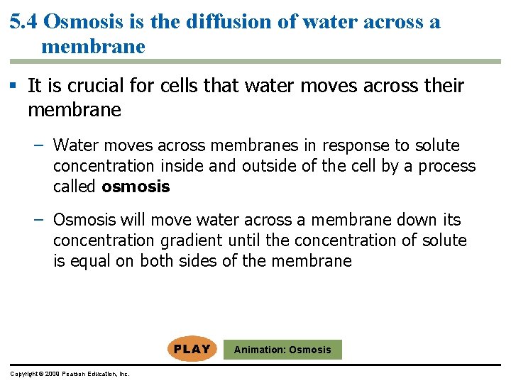 5. 4 Osmosis is the diffusion of water across a membrane § It is