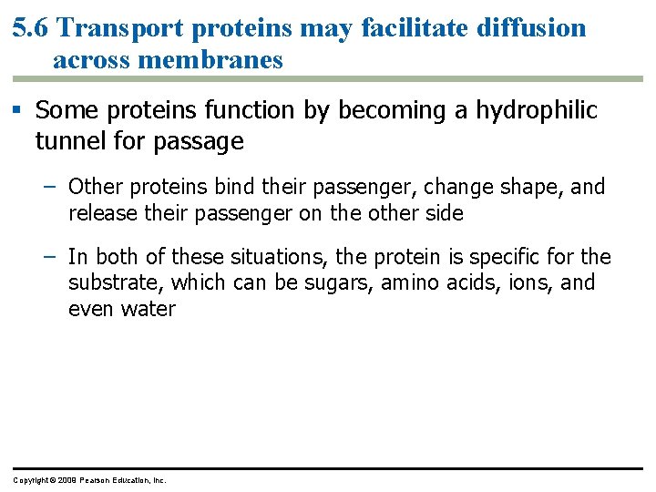 5. 6 Transport proteins may facilitate diffusion across membranes § Some proteins function by