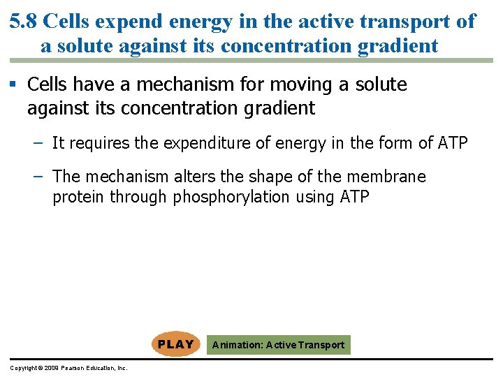 5. 8 Cells expend energy in the active transport of a solute against its