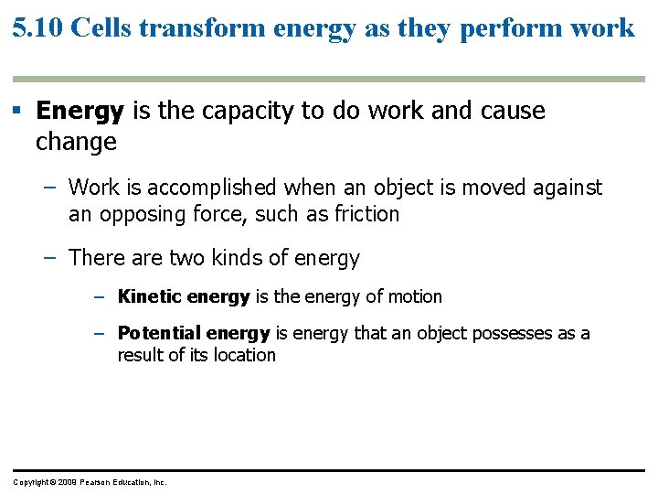 5. 10 Cells transform energy as they perform work § Energy is the capacity