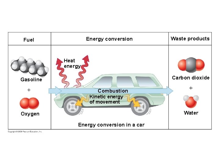 Energy conversion Fuel Waste products Heat energy Carbon dioxide Gasoline Combustion Kinetic energy of