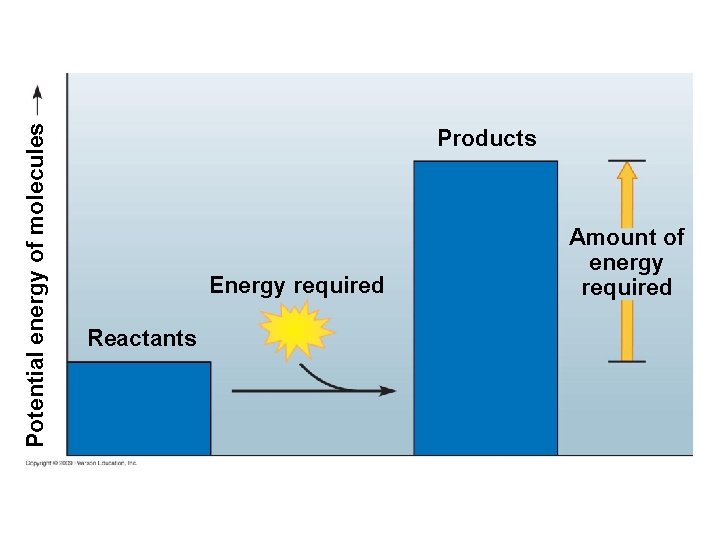 Potential energy of molecules Products Energy required Reactants Amount of energy required 