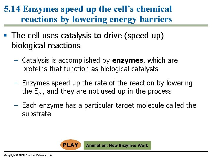 5. 14 Enzymes speed up the cell’s chemical reactions by lowering energy barriers §