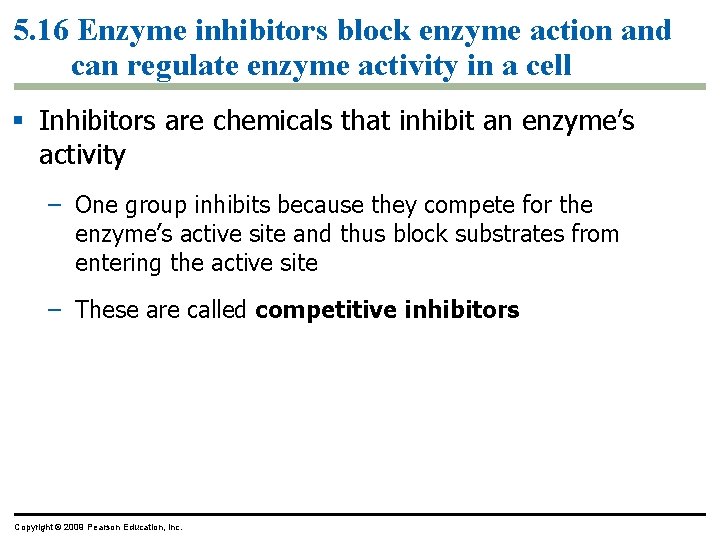 5. 16 Enzyme inhibitors block enzyme action and can regulate enzyme activity in a