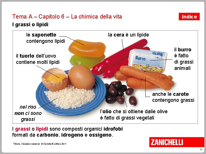 Tema A – Capitolo 6 – La chimica della vita Indice I grassi o Tema A – Capitolo 6 – La chimica della vita Indice I grassi o