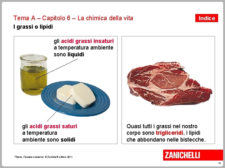 Tema A – Capitolo 6 – La chimica della vita Indice I grassi o Tema A – Capitolo 6 – La chimica della vita Indice I grassi o