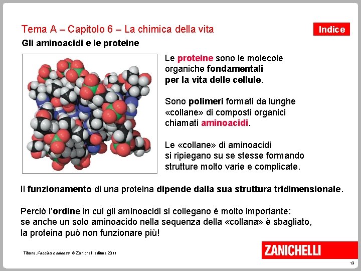 Tema A – Capitolo 6 – La chimica della vita Indice Gli aminoacidi e Tema A – Capitolo 6 – La chimica della vita Indice Gli aminoacidi e