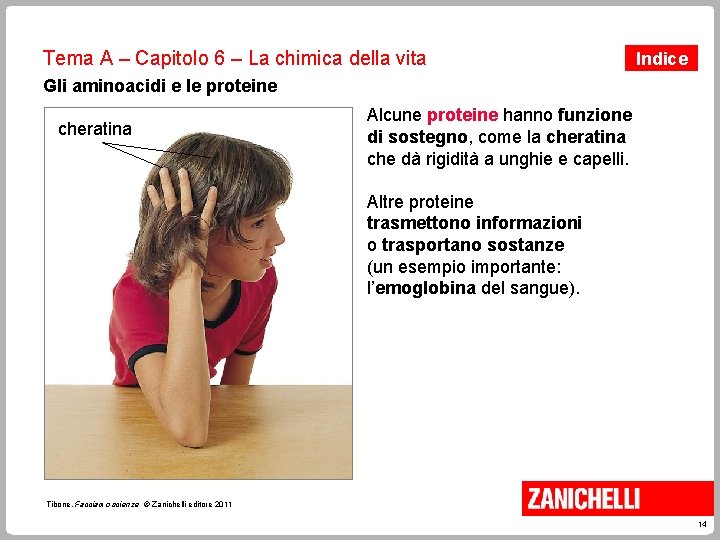 Tema A – Capitolo 6 – La chimica della vita Indice Gli aminoacidi e Tema A – Capitolo 6 – La chimica della vita Indice Gli aminoacidi e