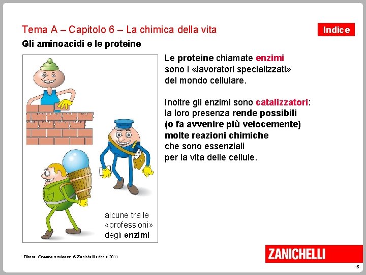 Tema A – Capitolo 6 – La chimica della vita Indice Gli aminoacidi e Tema A – Capitolo 6 – La chimica della vita Indice Gli aminoacidi e