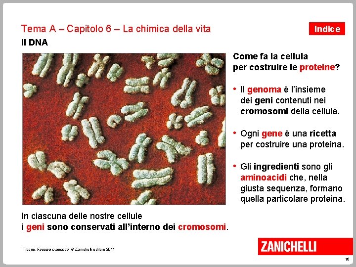 Tema A – Capitolo 6 – La chimica della vita Indice Il DNA Come Tema A – Capitolo 6 – La chimica della vita Indice Il DNA Come