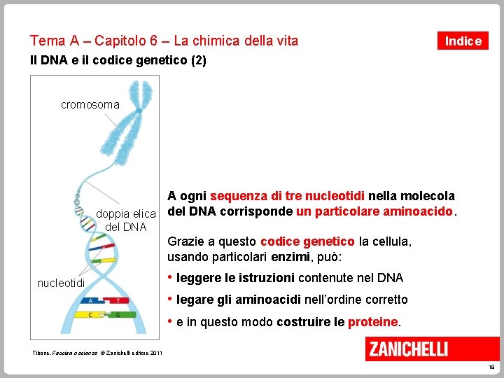 Tema A – Capitolo 6 – La chimica della vita Indice Il DNA e Tema A – Capitolo 6 – La chimica della vita Indice Il DNA e