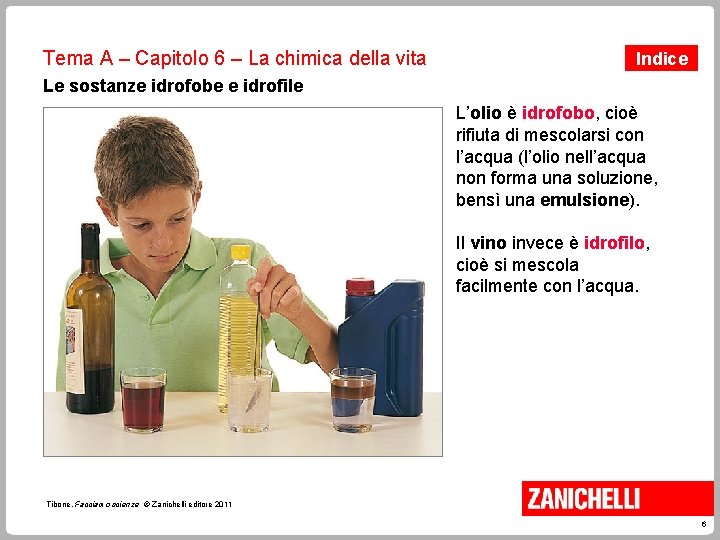 Tema A – Capitolo 6 – La chimica della vita Indice Le sostanze idrofobe Tema A – Capitolo 6 – La chimica della vita Indice Le sostanze idrofobe