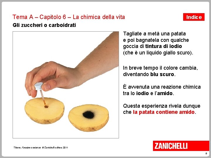 Tema A – Capitolo 6 – La chimica della vita Indice Gli zuccheri o Tema A – Capitolo 6 – La chimica della vita Indice Gli zuccheri o