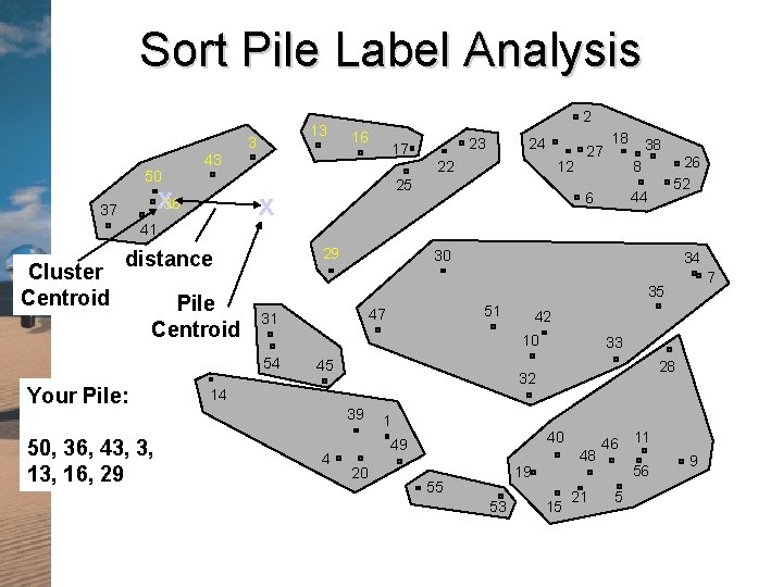 Sort Pile Label Analysis 13 3 2 16 43 22 50 x 36 37