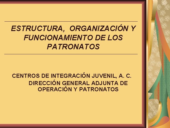 ESTRUCTURA, ORGANIZACIÓN Y FUNCIONAMIENTO DE LOS PATRONATOS CENTROS DE INTEGRACIÓN JUVENIL, A. C. DIRECCIÓN