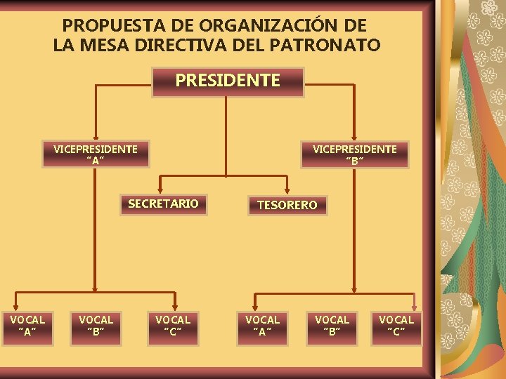 PROPUESTA DE ORGANIZACIÓN DE LA MESA DIRECTIVA DEL PATRONATO PRESIDENTE VICEPRESIDENTE “A” VICEPRESIDENTE “B”