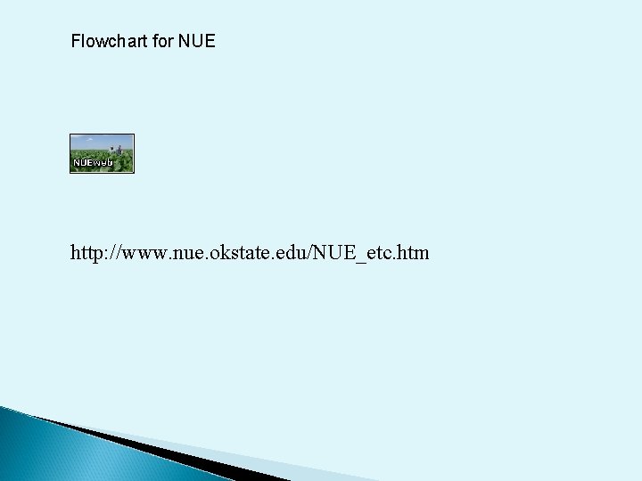 Flowchart for NUE http: //www. nue. okstate. edu/NUE_etc. htm 