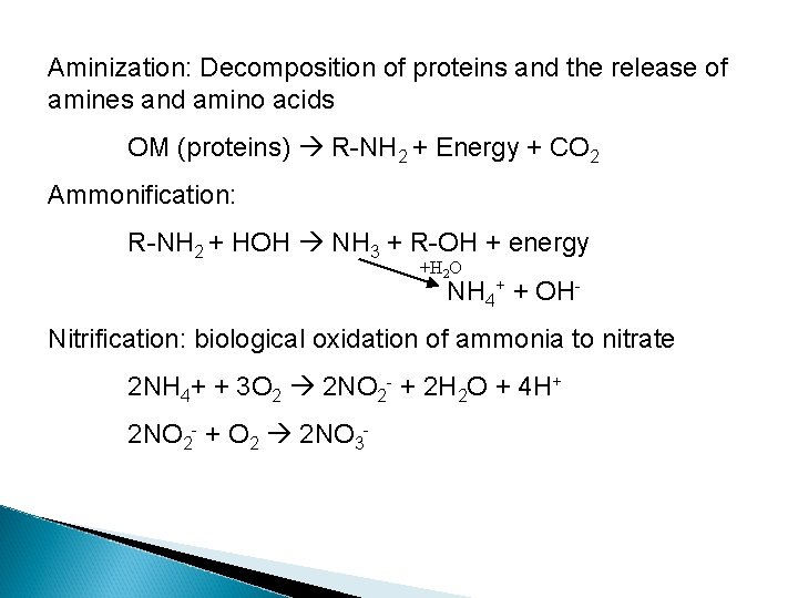 Aminization: Decomposition of proteins and the release of amines and amino acids OM (proteins)