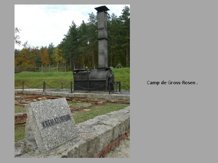 Camp de Gross-Rosen. 