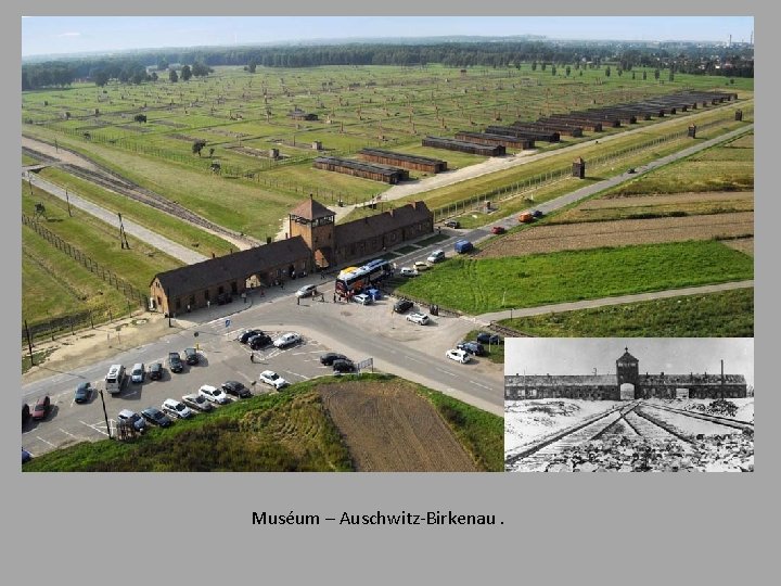 Muséum – Auschwitz-Birkenau. 