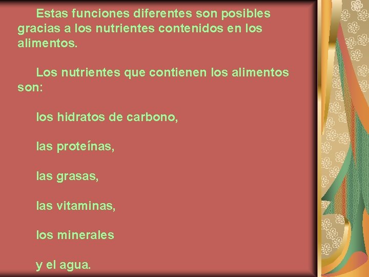 Estas funciones diferentes son posibles gracias a los nutrientes contenidos en los alimentos. Los