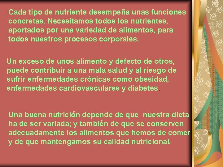 Cada tipo de nutriente desempeña unas funciones concretas. Necesitamos todos los nutrientes, aportados por