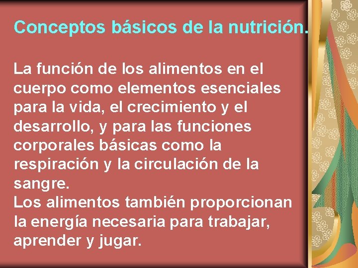 Conceptos básicos de la nutrición. La función de los alimentos en el cuerpo como