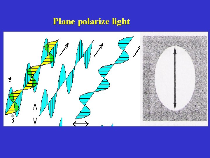 Plane polarize light 