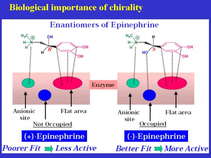 Biological importance of chirality 